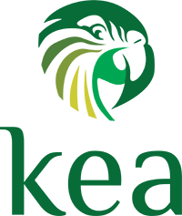 Orchestrating Network Autonomy: A Deep Dive into Kea DHCP and Bind9 DDNS Integration